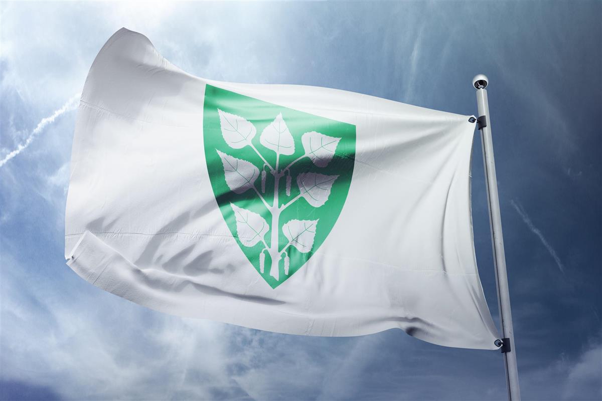 Flagg med logo vaier - Klikk for stort bilde
