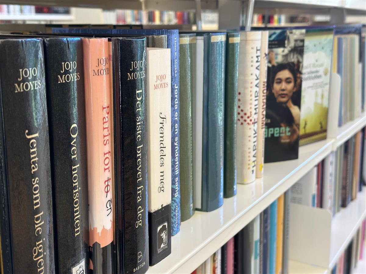 Reol med bøker - Klikk for stort bilde